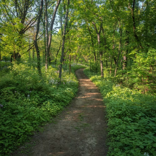 20 Mindful Summer Bucket List Ideas for Inner Peace and Growth