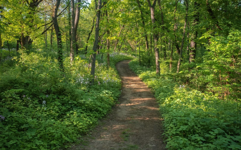 20 Mindful Summer Bucket List Ideas for Inner Peace and Growth