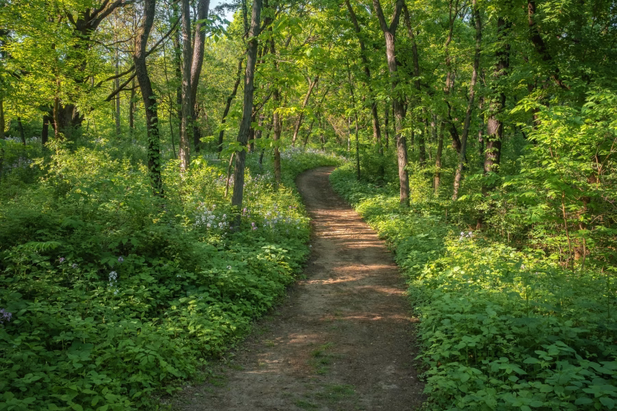 20 Mindful Summer Bucket List Ideas for Inner Peace and Growth