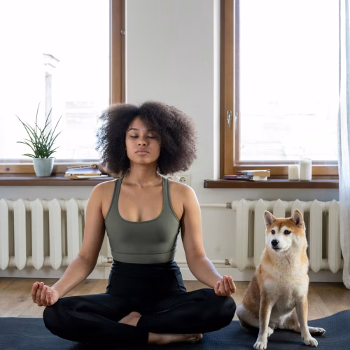 Transform Your Life With Mindfulness Meditation for beginners