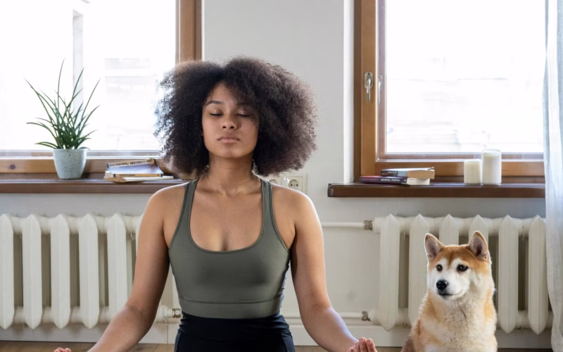 Transform Your Life With Mindfulness Meditation for beginners